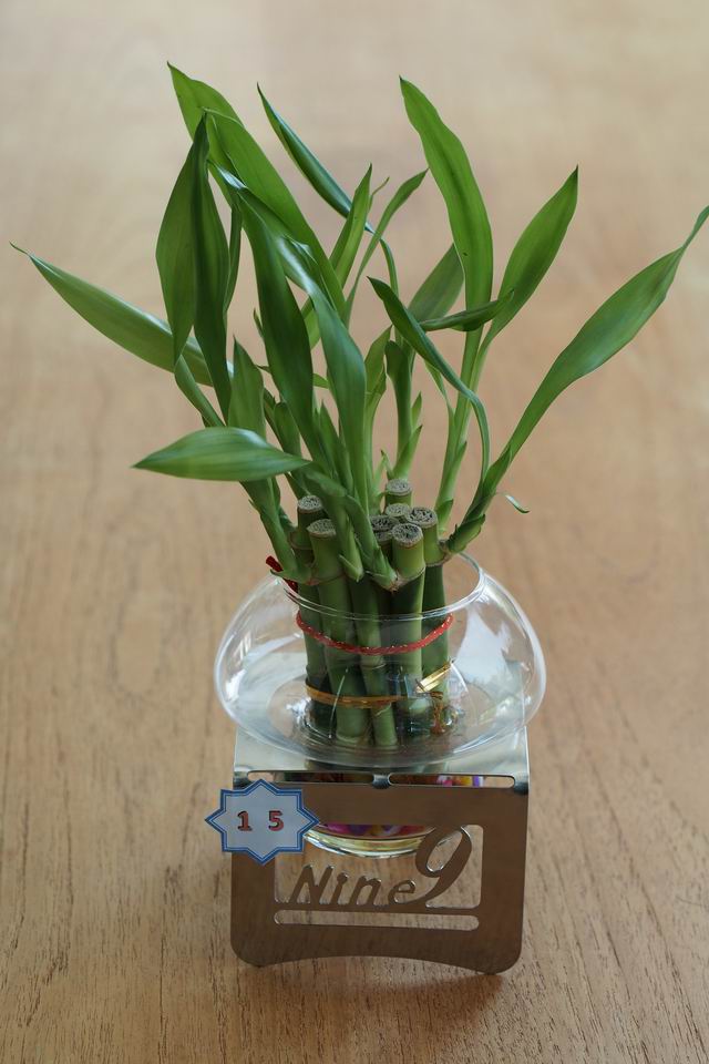 Nine9 花泊1號創意佈置  Flower Park 